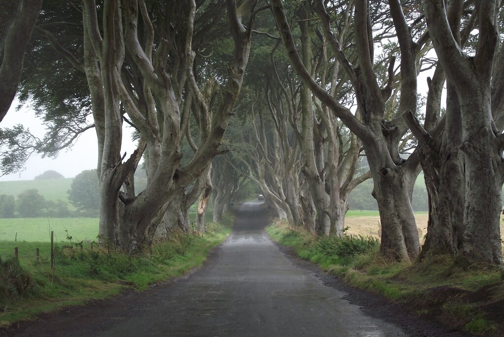 Game of Thrones trees