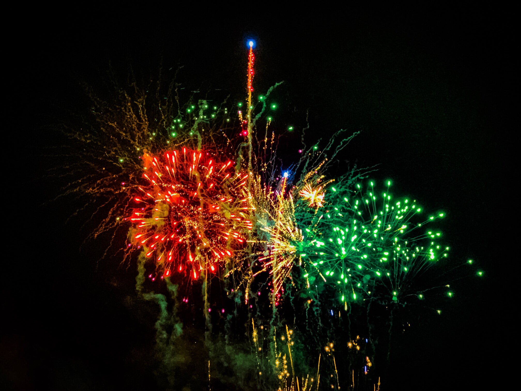 The Wexford opera festival
